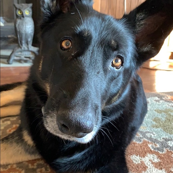 Hi! - Picture 3 of 4